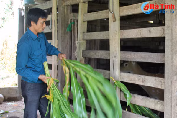 dan quan son truong huan luyen gioi lam kinh te hay