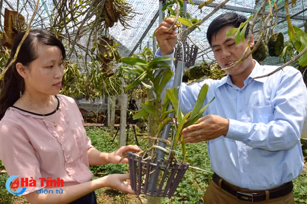 ban tay thay giao ti man danh thuc nhung mam lan