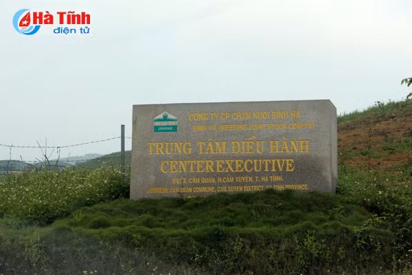 Dự án chăn nuôi bò Bình Hà: “Vắng như chùa bà Đanh”!