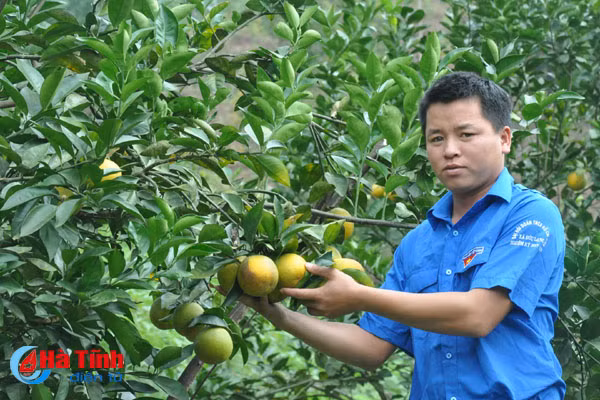 chuyen gia hoc vien nong nghiep giup dvtn ha tinh khoi nghiep