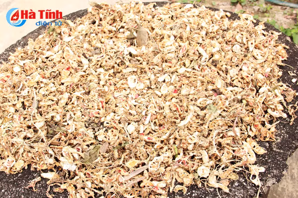 nhung vuon muop dang hai bac cua nong dan cam xuyen