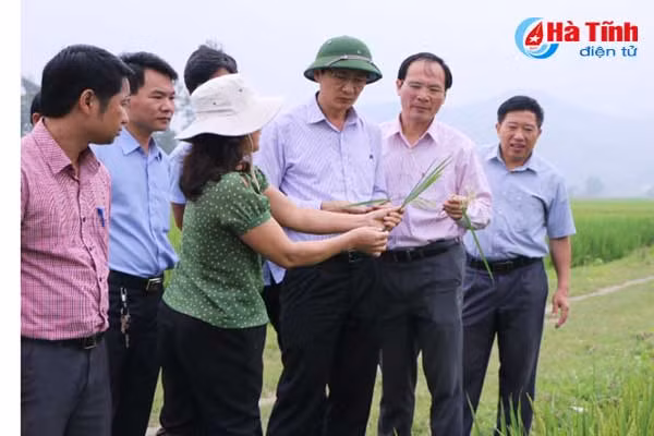 kiem tra sat sao dong ruong phong tru kip thoi dao on co bong