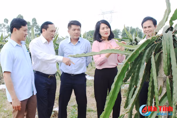 van phong hdnd tinh ha tinh ho tro xa ngoc son xay dung nong thon moi