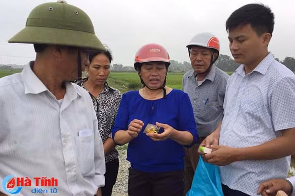 thoi tiet dong danh thach ha tap trung phong chong dao on co bong