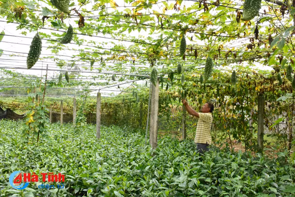 hien dat mo duong dai cong truong o thi tran cam xuyen