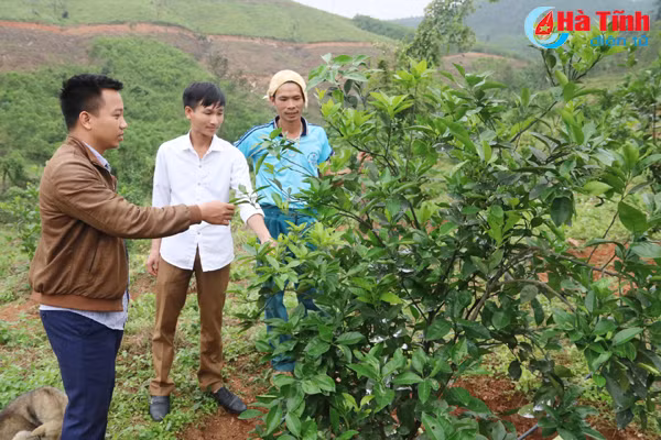 khoi phuc san xuat vung thuong ky anh