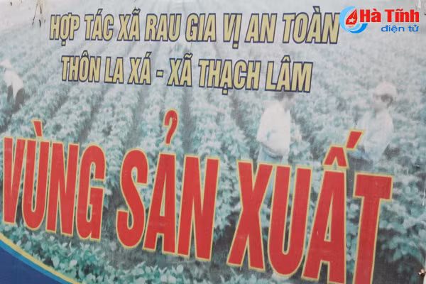 ngac nhien voi lang rau toa huong o ha tinh
