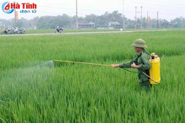 thoi tiet dong danh thach ha tap trung phong chong dao on co bong