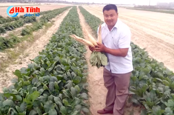 dat cat hoang o ha tinh sinh loi