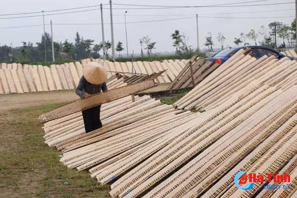 kinh hoang canh banh nem phoi canh bai rac
