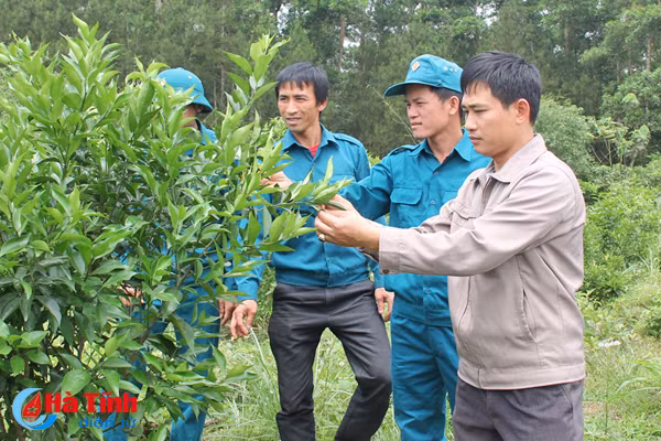 dan quan son truong huan luyen gioi lam kinh te hay