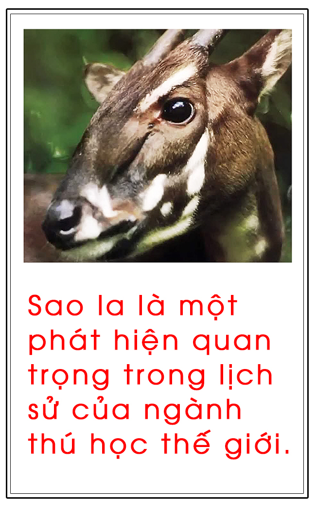 Vườn quốc gia Vũ Quang - “mỏ loài mới” tại Việt Nam, trung tâm đa dạng sinh học của Châu Á