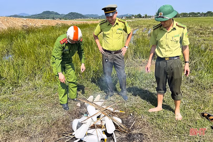 Đức Thọ tiêu hủy hàng ngàn dụng cụ bẫy chim hoang dã