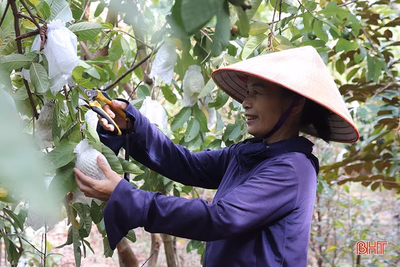 Vang vọng tinh thần Xô viết trên những vùng quê xứ Cẩm