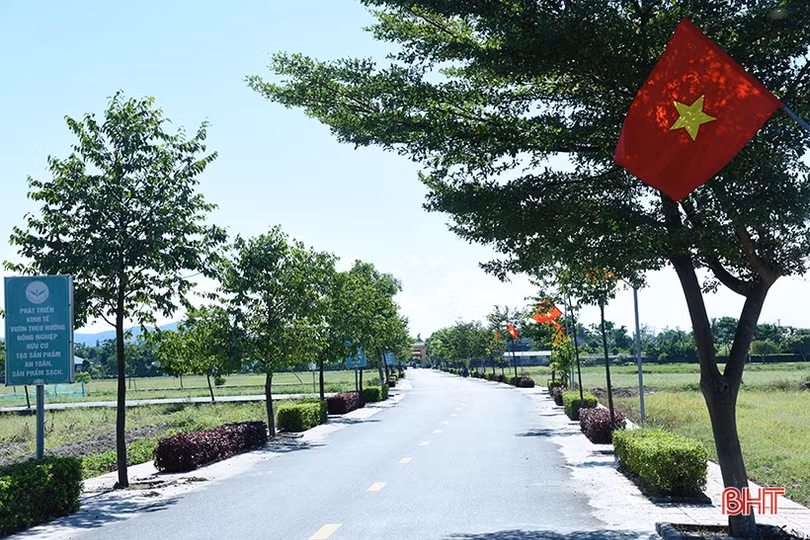 Cán bộ, đảng viên tiên phong xây dựng NTM kiểu mẫu ở xã ven biển Hà Tĩnh
