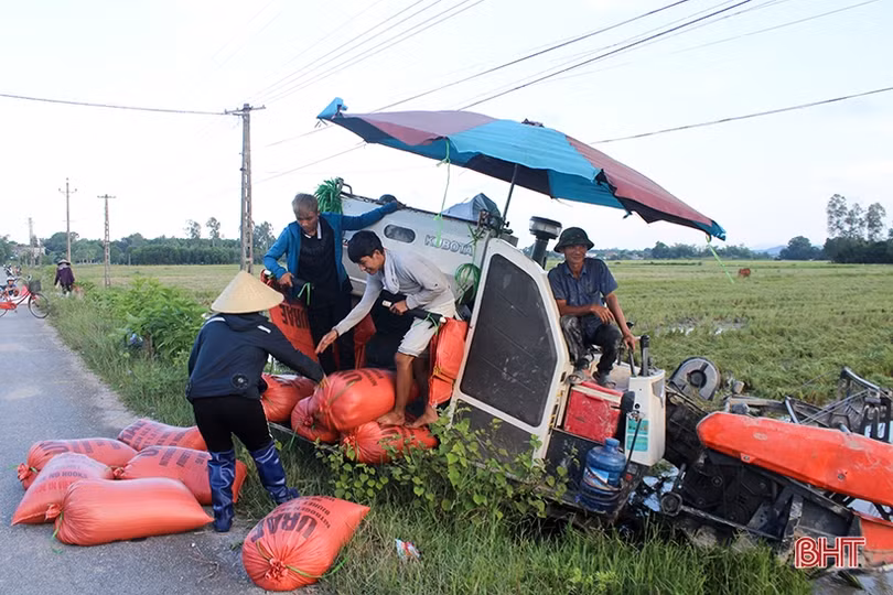 Can Lộc “thắng lớn” vụ hè thu