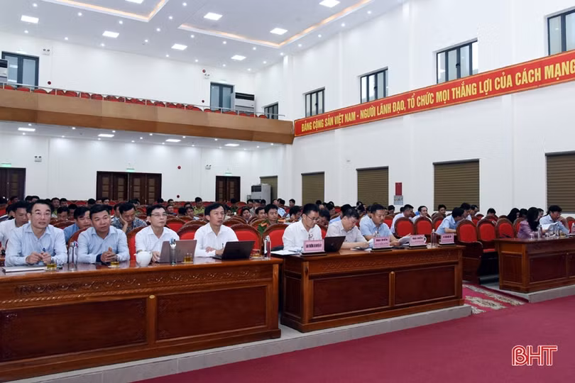 Kỳ Anh phấn đấu trở thành huyện có thu nhập cao về sản xuất kinh doanh từ rừng và đất lâm nghiệp