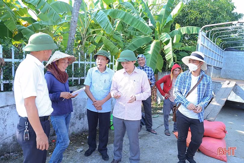 Các địa phương đẩy nhanh tiến độ thu hoạch hè thu đúng kế hoạch