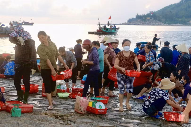 Giá dầu tăng cao, ngư dân Hà Tĩnh tiến thoái lưỡng nan