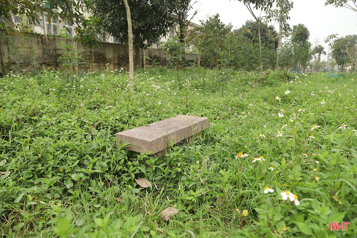 bqbht_br_tieu-cong-vien-tp-ha-tinh-11.jpg