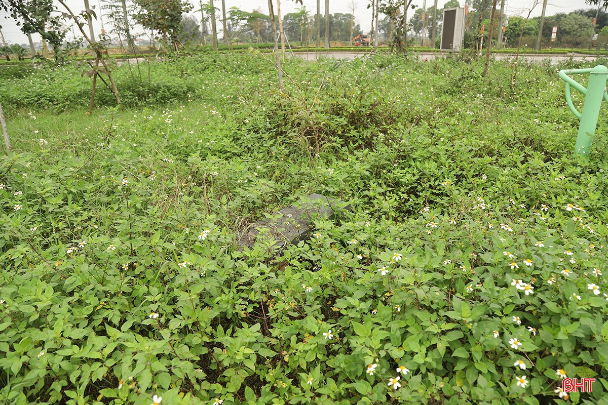 bqbht_br_tieu-cong-vien-tp-ha-tinh-11aa.jpg