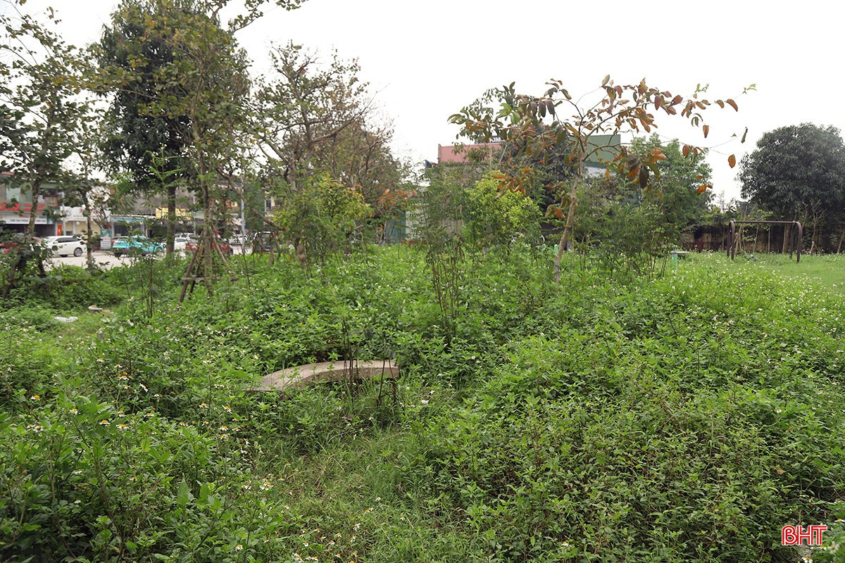 bqbht_br_tieu-cong-vien-tp-ha-tinh-3a.jpg