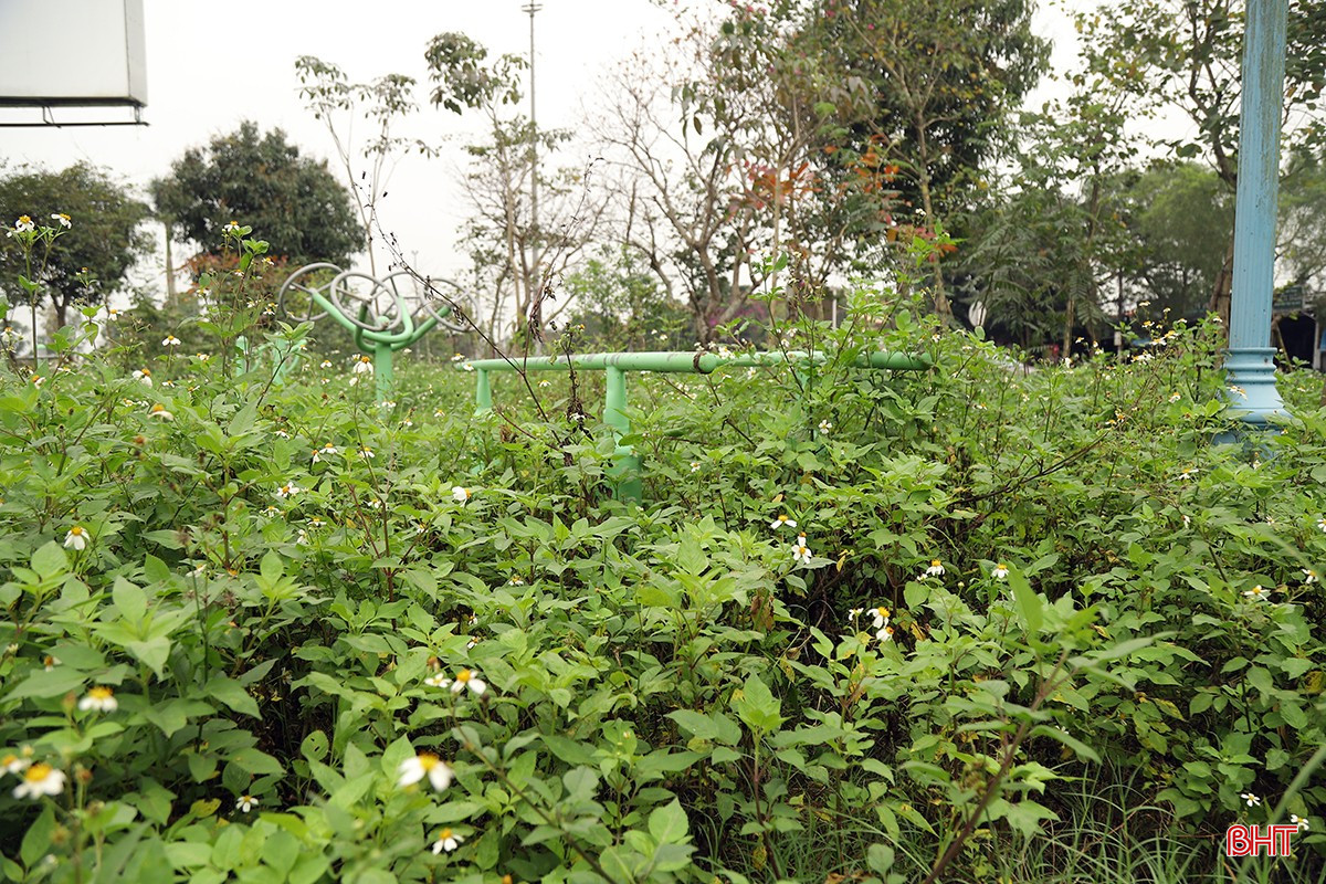 bqbht_br_tieu-cong-vien-tp-ha-tinh-1.jpg