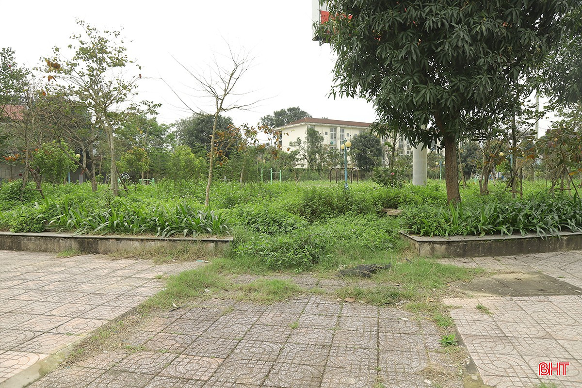 bqbht_br_tieu-cong-vien-tp-ha-tinh-4.jpg