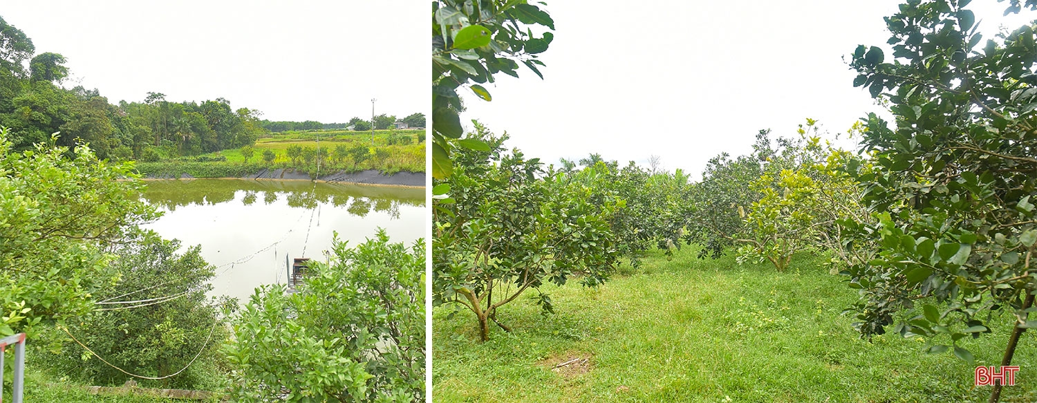 Nữ chi hội trưởng 72 tuổi: “Tôi vui khi được cống hiến, được làm nông thôn mới”