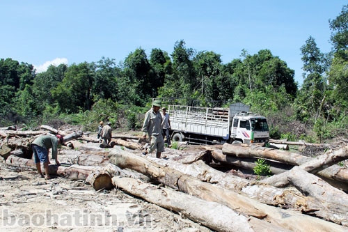Hối hả trên những công trường vùng lũ ảnh 4