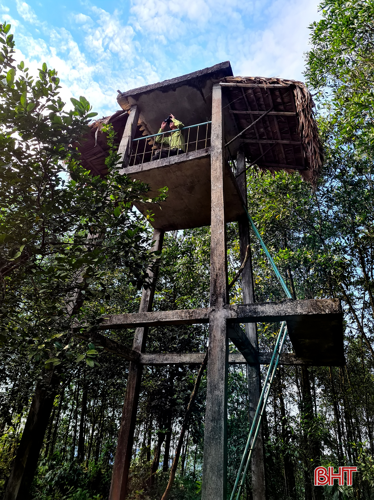 Những người “canh lửa” giữ rừng Hà Tĩnh ảnh 5 Những người “canh lửa” giữ rừng Hà Tĩnh