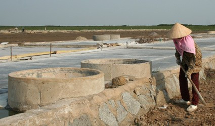 Đồng muối xóm Vĩnh Yên trống vắng người giữa những ngày chính