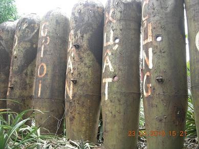 Khẩu hiệu trên những cánh bom