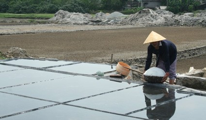 Mẻ sản phẩm hiếm hoi đầu tiên trên đồng muối xóm Bắc Hà - Kỳ