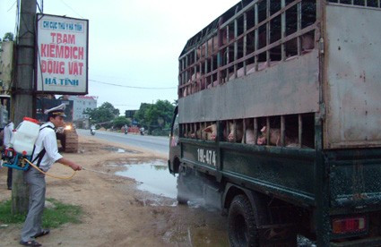 Nhân viên Trạm kiểm dịch động vật Gia Lách phun tiêu độc phương tiện qua địa bàn