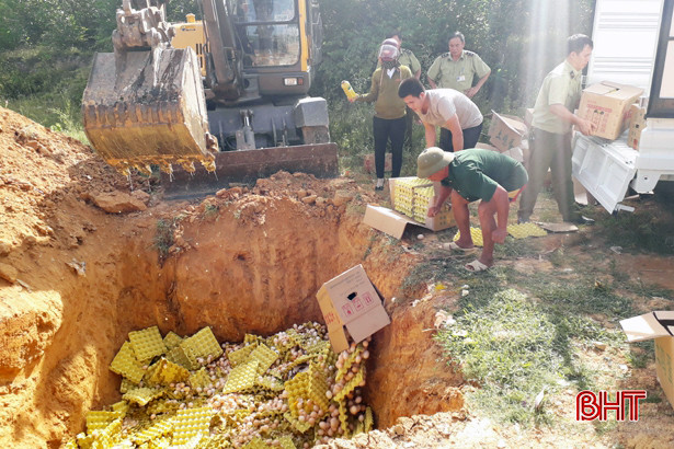 Tiêu hủy trên 17 nghìn quả trứng gia cầm không rõ nguồn gốc