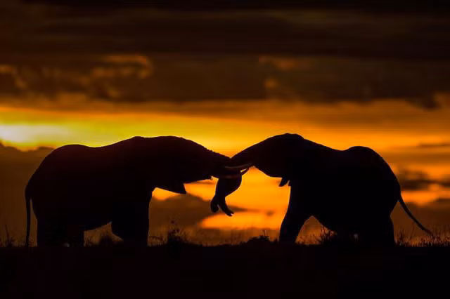 Những bức ảnh tuyệt đẹp về hoàng hôn và bình minh trên khắp thế giới