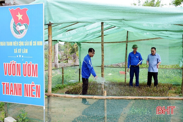 Tuổi trẻ Kỳ Anh ươm 400 ngàn cây giống làm hàng rào xanh