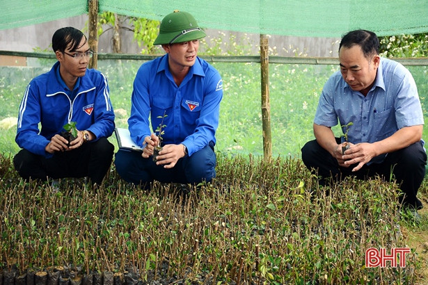 Tuổi trẻ Kỳ Anh ươm 400 ngàn cây giống làm hàng rào xanh