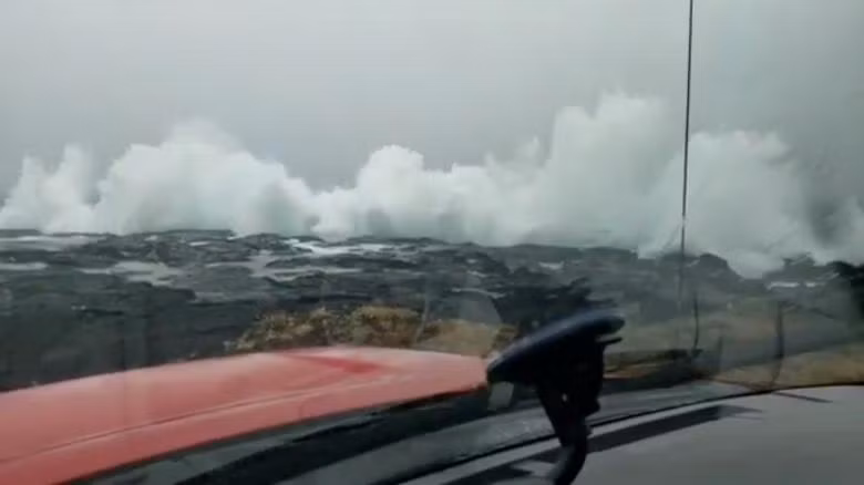 Người dân Hawaii đổ xô mua lương thực phòng siêu bão Lane