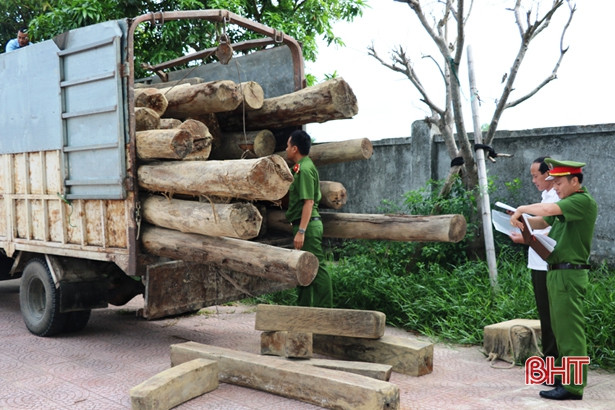 Bắt xe “reo” chở đầy gỗ lậu lúc gần sáng