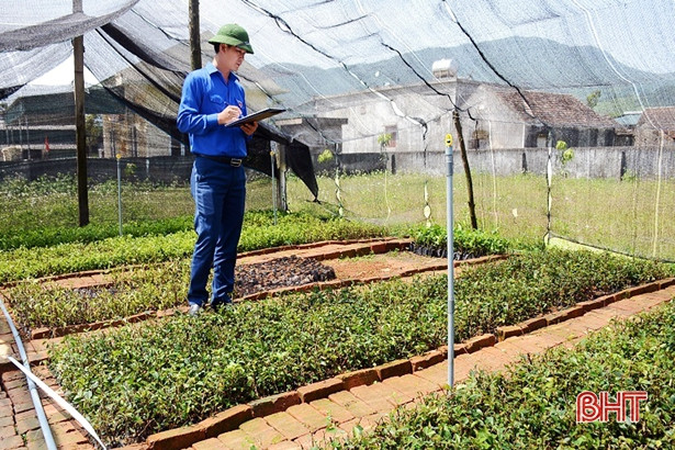 Tuổi trẻ Kỳ Anh ươm 400 ngàn cây giống làm hàng rào xanh