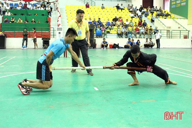 Hà Tĩnh để lại ấn tượng tại Ngày hội Văn hóa các dân tộc miền Trung