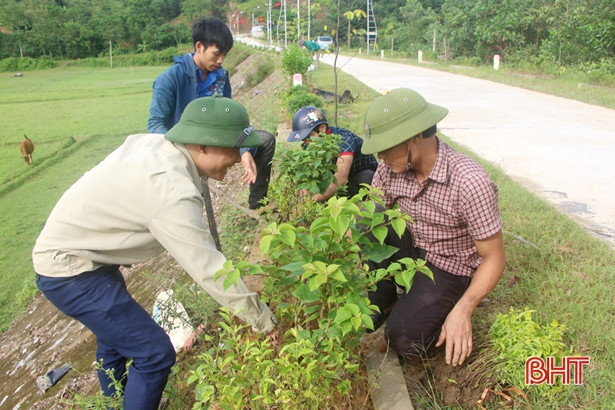 Công đoàn xã Hương Thọ ươm trên 27.000 cây cảnh làm đẹp nông thôn mới