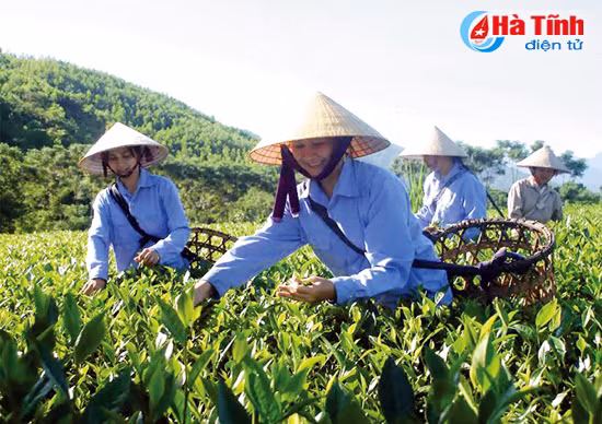 phu nu ha tinh doan ket sang tao doi moi toan dien
