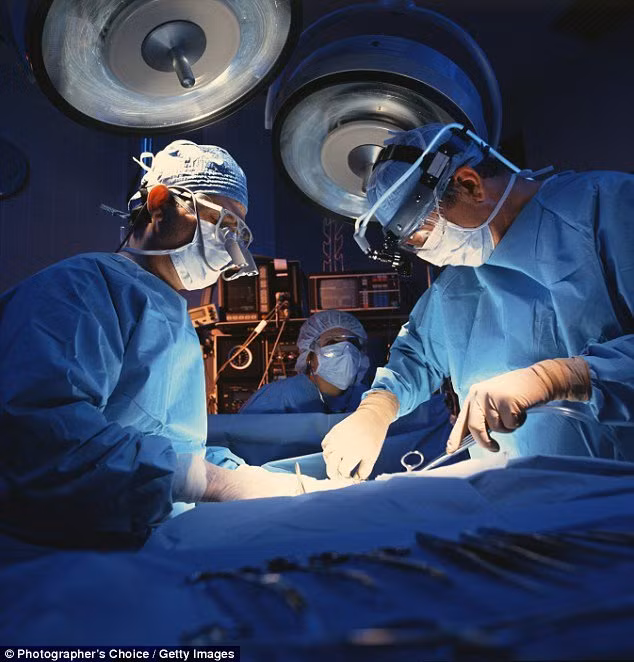 con chip nho se giup nguoi mu nhin duoc