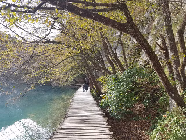 dong au nhung diem den quyen ru