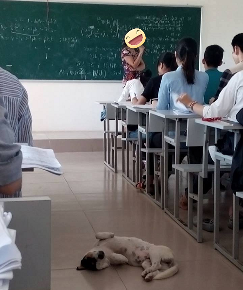 10 anh hai hot nhat facebook trong ngay