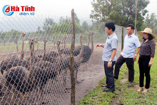 tx ky anh chi dao don suc dua ky hung ve dich ntm dung hen