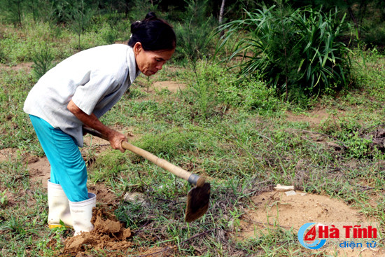 san de sau lu thu tien trieu moi ngay